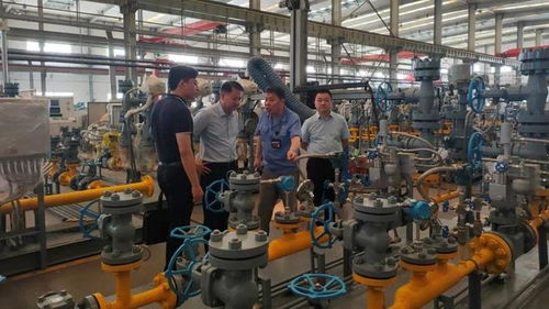 區縣在行動 加大服務對接 搭建資源平臺,助力區域創新驅動發展