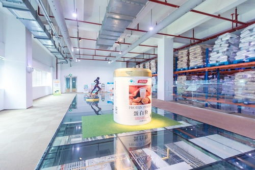 面面旅拍 探索奇妙科技工廠,坐擁海洋度假天堂,珠海盡情玩樂放縱一夏